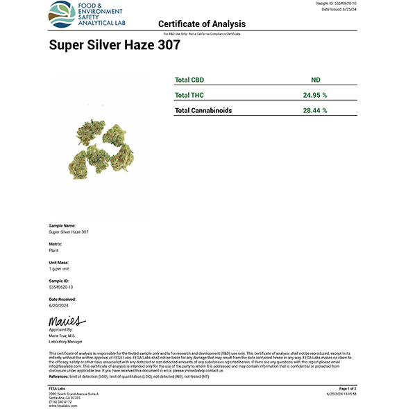 Super Silver Haze 307